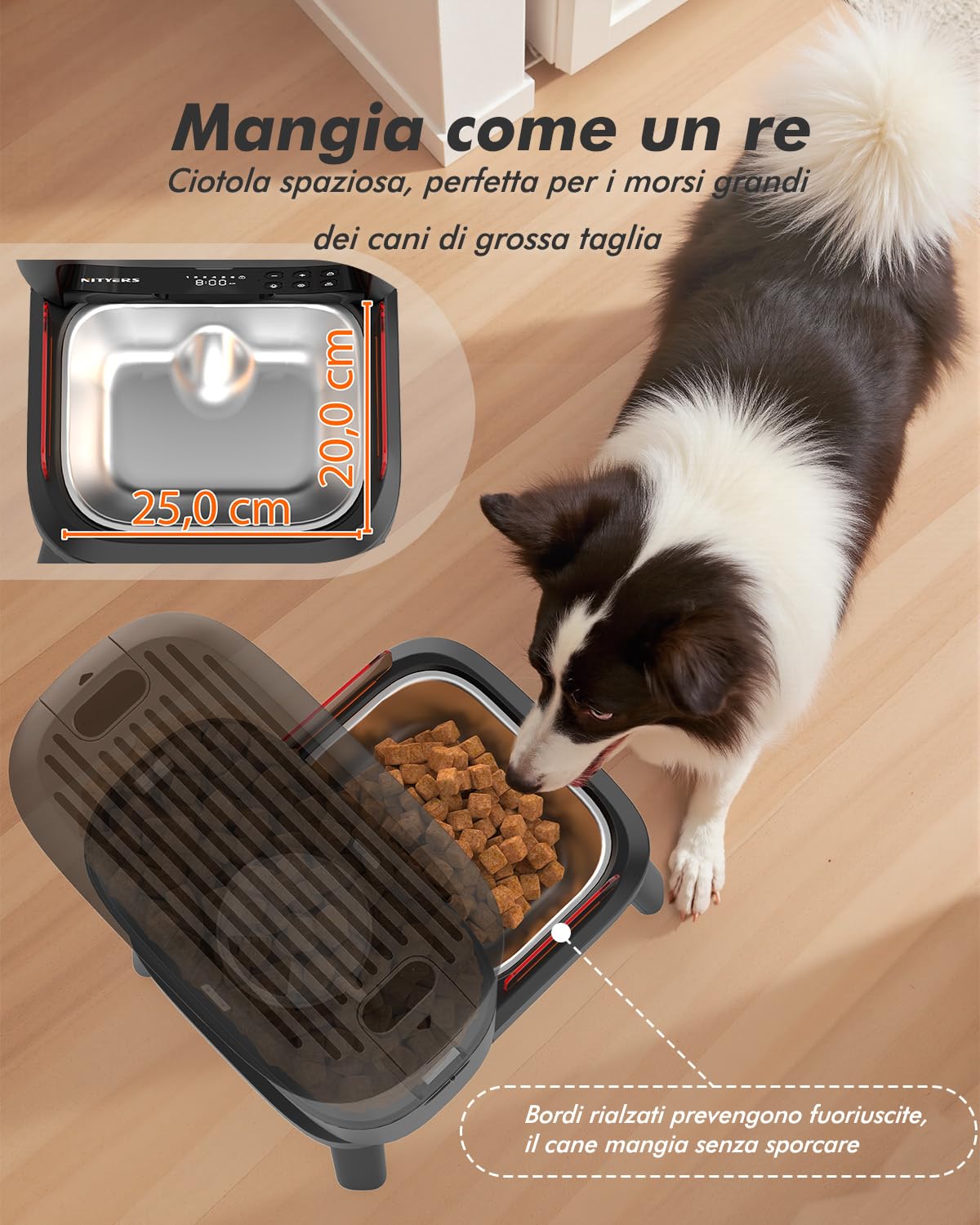 Distributore automatico cibo cani, capacità 15L, croccantini fino a 23mm
