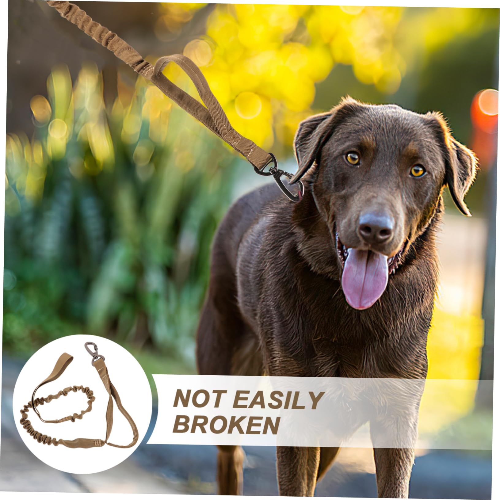 INOOMP 3 Pz Guinzaglio Per Addestramento Del Cane Animale Domestico Guinzagli Ad Anello a Catena Cinghia Guinzaglio Di Corda Elegante Guinzaglio Per Cani All'aperto Anello Della Catena