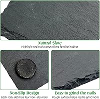 Vista 4 de Tfwadmx Plataforma para tomar el sol de reptiles, plato de alimentación de tortuga, cuenco de comida de reptiles de roca natural, decoración