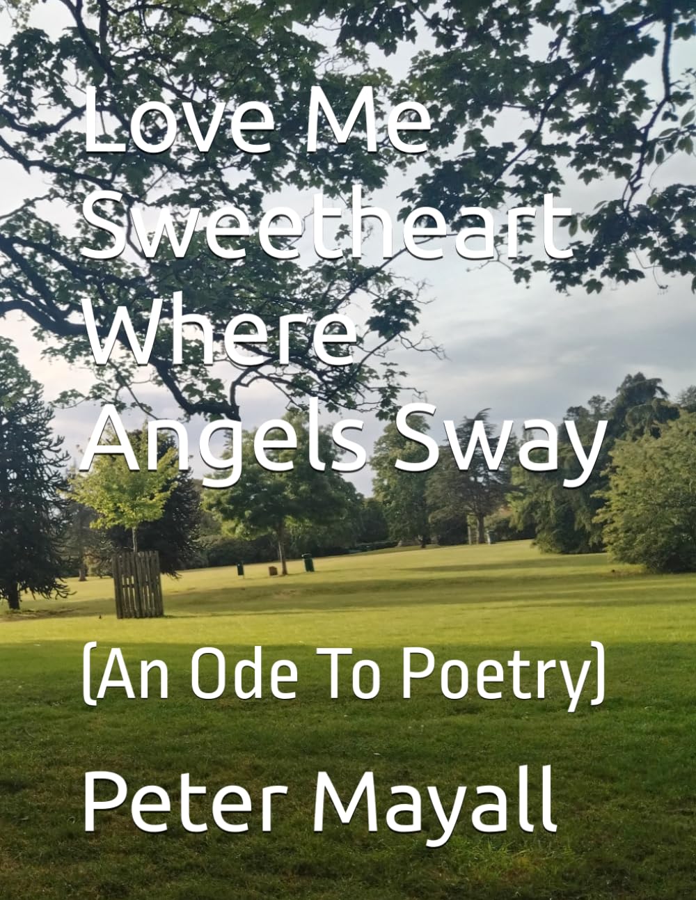 Love Me Sweetheart Where Angels Sway: (An Ode To Poetry)