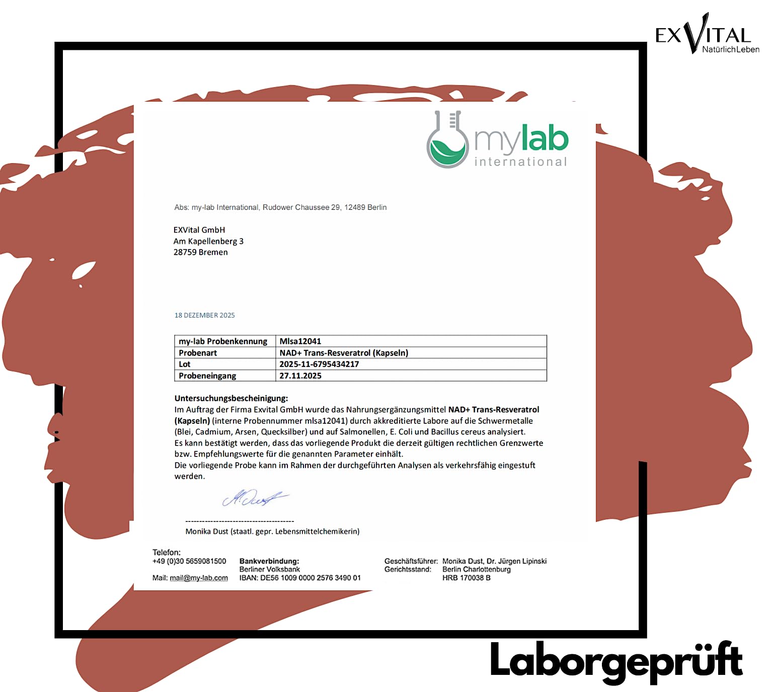 EXVital® NAD+, 1000 mg de NAD+ et 600 mg de trans-resvératrol par jour - 120 gélules végétaliennes - liposomales et biodisponibilité maximale, hautement dosées et testées en laboratoire