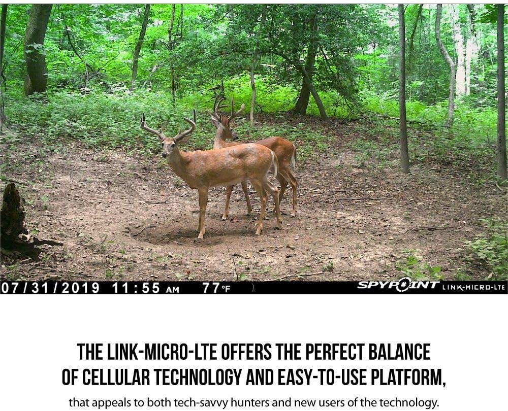 🔥 Cаѕhbасk uр tо 70% SPYPOINT LINK-MICRO-LTE Cellular Trail Camera 4 LED Infrared Flash Game Camera with 80-foot Detection and Flash Range LTE-Capable Cellular Trail Camera 10MP 0.5-second Trigger Speed Hunting Camera Flаѕh Dеаlѕ - 70% оƒƒ SPYPOINT LINK-MICRO-LTE Cellular Trail Camera 4 LED Infrared Flash Game Camera with 80-foot Detection and Flash Range LTE-Capable Cellular Trail Camera 10MP 0.5-second Trigger Speed Hunting Camera