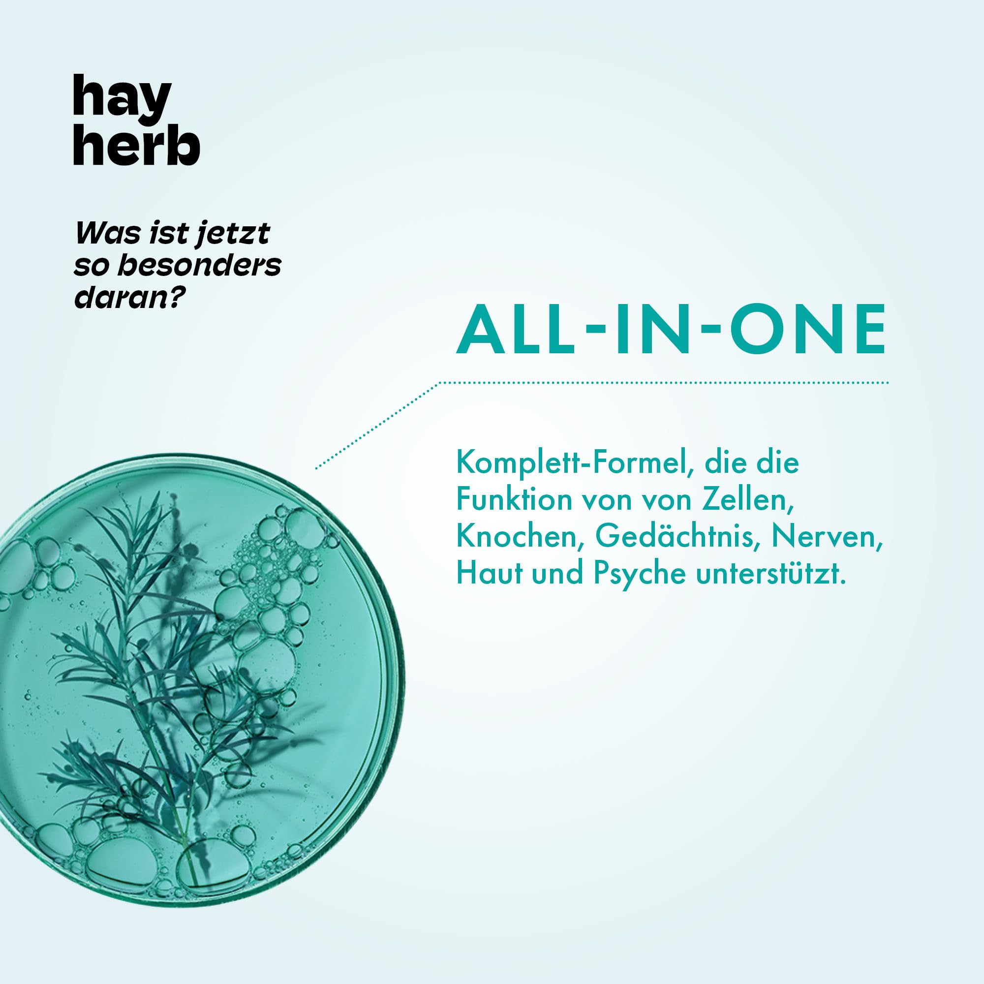 Longevity Komplex Kapseln 60 Stk. | All-In-One Komplettformel | Jungbrunnen für Körper & Geist | Mit PQQ und Grüntee - Age-Less-Effekt | 100% vegan | Hay Herb
