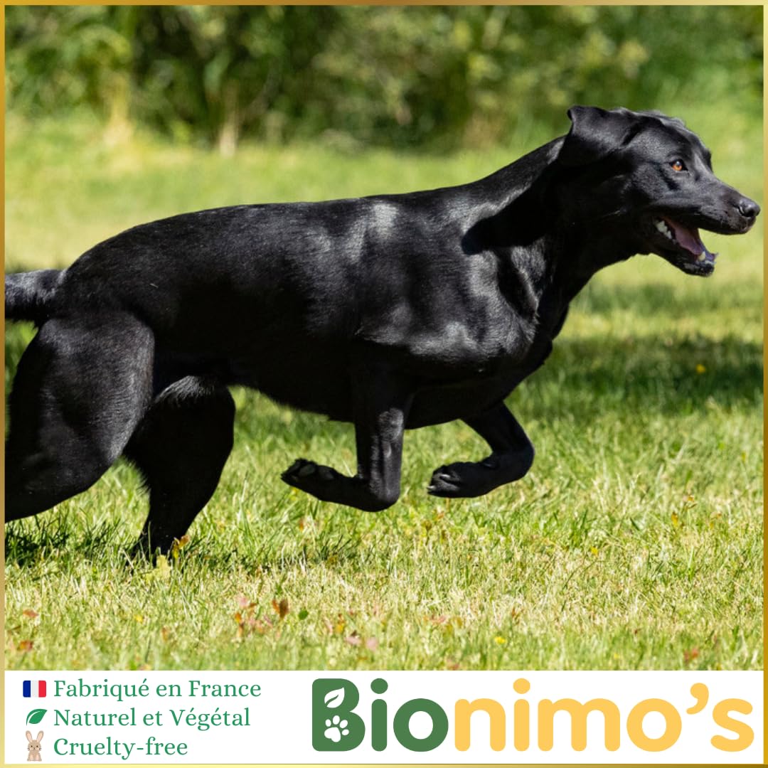 Répulsif Extérieur Chiens & Chats, Naturel et Végétal. Gritz de maïs, Huile de Sésame Bio. 100% Français. Protection efficace sur toutes surfaces confondues (pelouses, massifs, allées, terrasses)