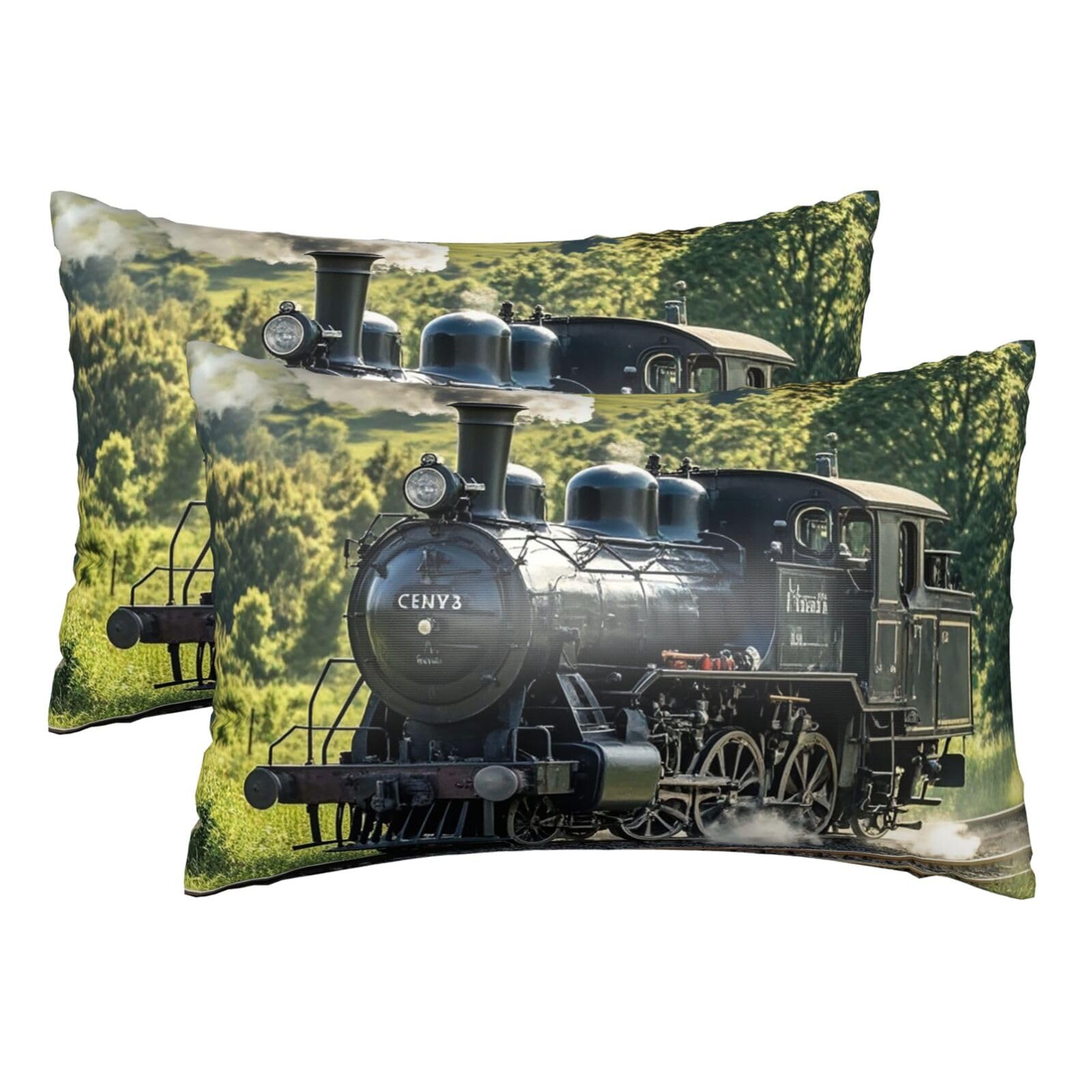 Silk Pillowcases Set of 2 Pillow Shams Breathable Soft Pillow Covers with Envelope Closure Steam Train Pillowcases 20x30 Inches Washed Pillow Cases for Hair and Skin