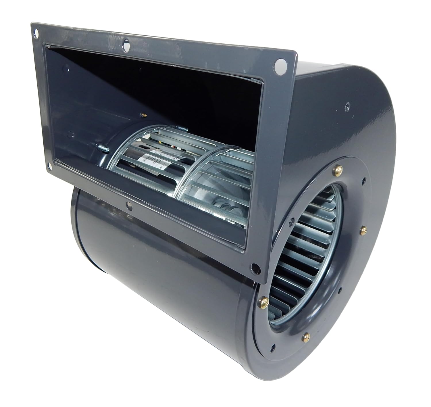 1TDT6, 4C565 Dayton Direct OEM Interchange Replacement Blower