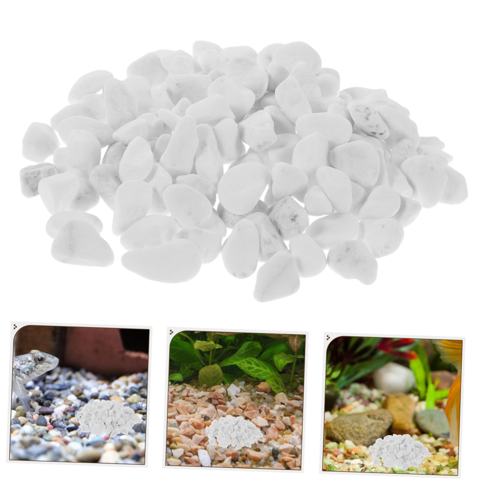 Kisangel Ghiaia Per Acquario Decorativa Pietre Naturali Per Fondo Acquario Ciottoli Bianchi Per Piante Da Interno Vasi e Fioriere