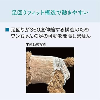 Amazon | エリエール Pet キミおもい アクティブウェア M-L 26枚 犬