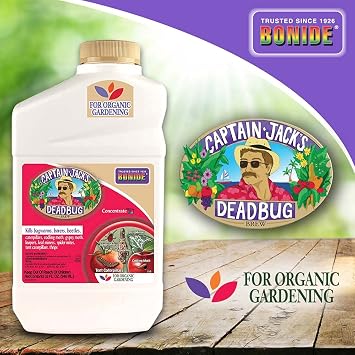 Captain Jack's Dead Bug Brew, Concentrate, Quart