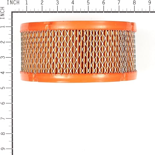 Miniatura 2 de Generac Guardian 0C8127 Filtro de aire.