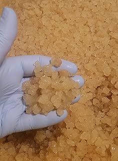 SIX Brewing Bags Plus Large Portion Cup with 33% MORE Live Florida Sun Kefir Natural Water Kefir Grains