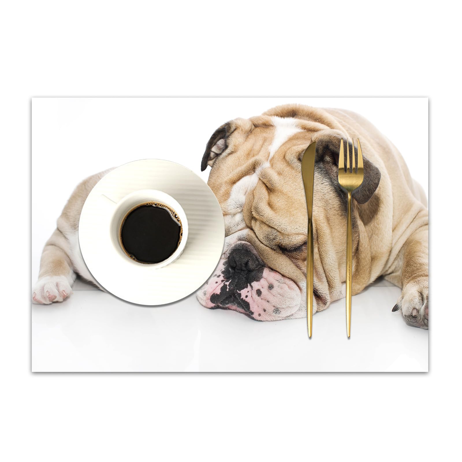 DASNK Table Mats Set of 4 Woven Vinyl Place Mats for Dinner Table Washable & Durable Indoor/Outdoor Use Table Accessories,Beautiful english bulldog puppy with its father,12x18in