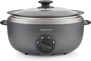 Morphy Richards 461022 Oval Sear and Stew 6.5 Litre Slow Cooker Titanium
