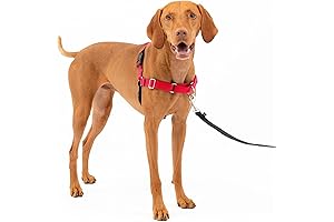 PetSafe Easy Walk No-Pull: The Ultimate Anti-Pull Harness