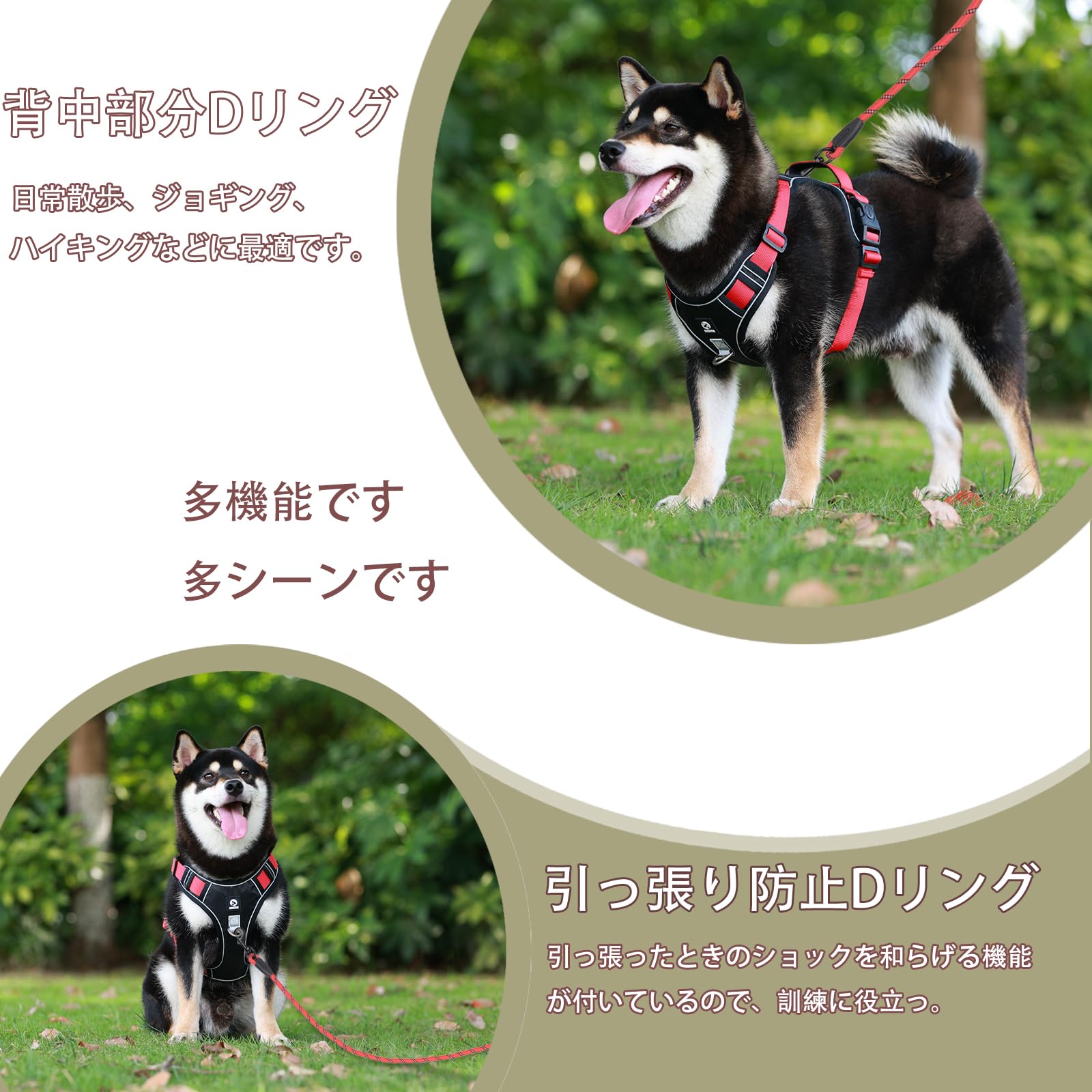 Amazon | 【柴犬に強力推薦】 XINIDEA 頑丈で耐久性に 犬用