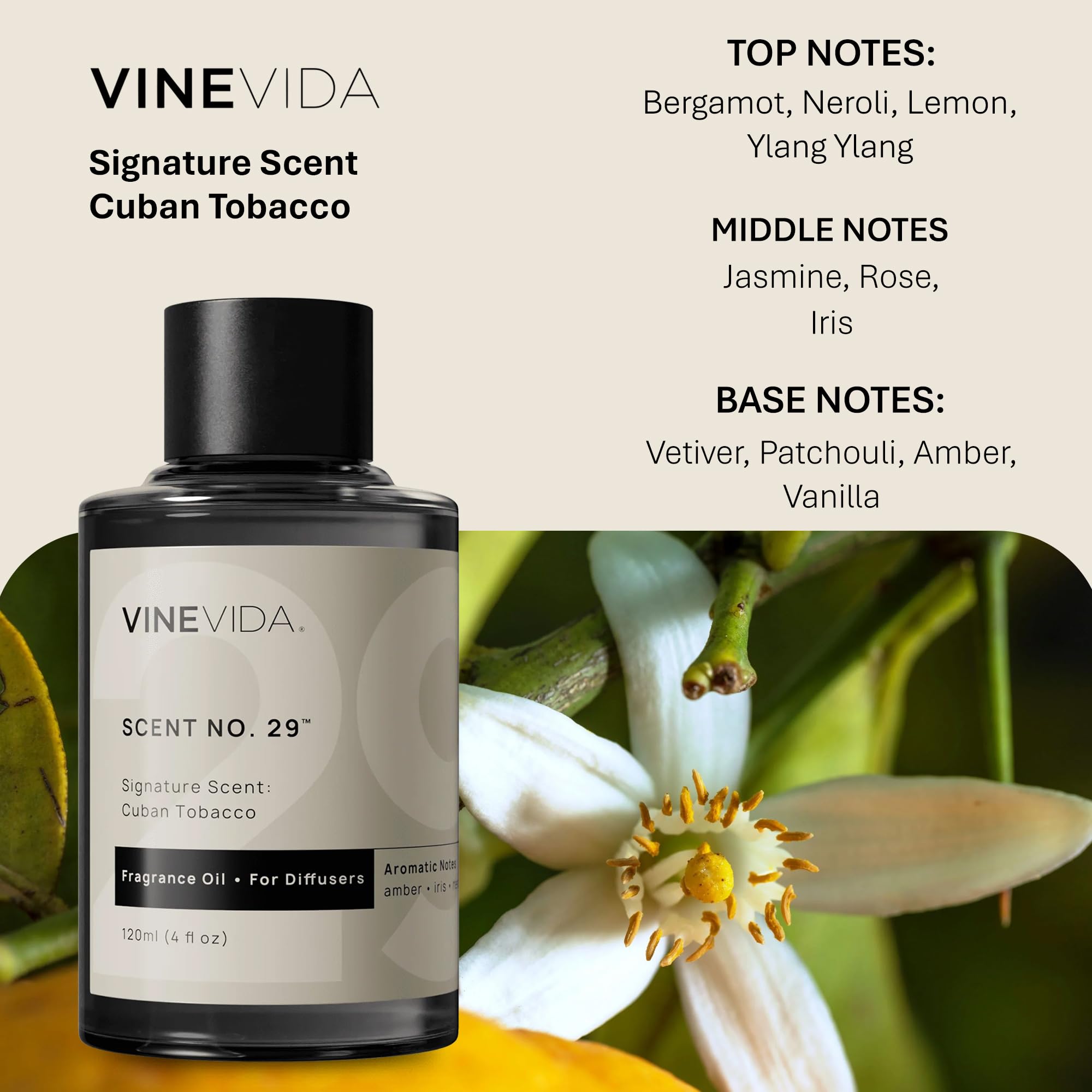 Amazon.com: VINEVIDA [4 Fl Oz] Cuban Tobacco Fragrance Oil for