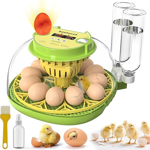 2025 Upgraded Incubators for Hatching Eggs,12 Egg Incubator with Automatic Egg Turning and Humidity Control,Egg Candler,Air Vent,360° Viewing for Chicken,Quail Eggs,Ideal for Farm,Classroom,Home