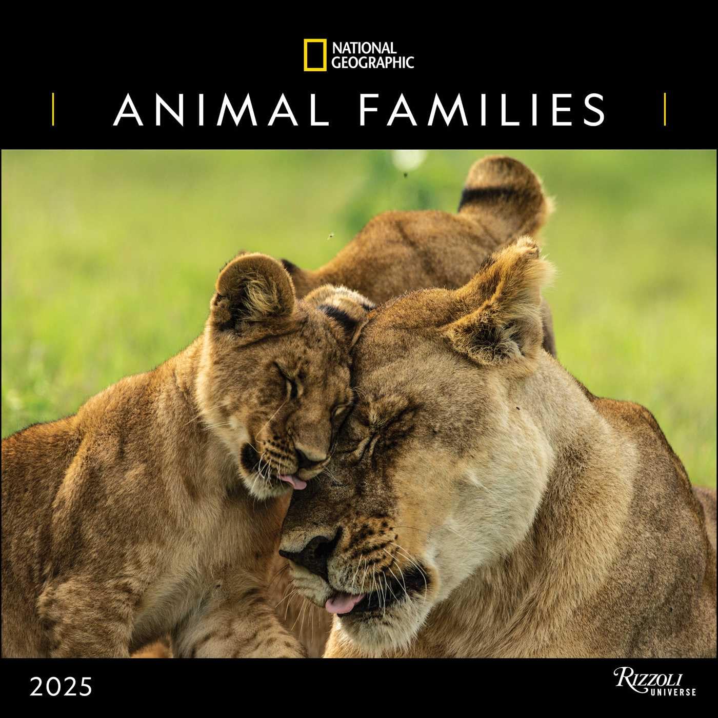 National Geographic Animal Families 2025 Wall Calendar National