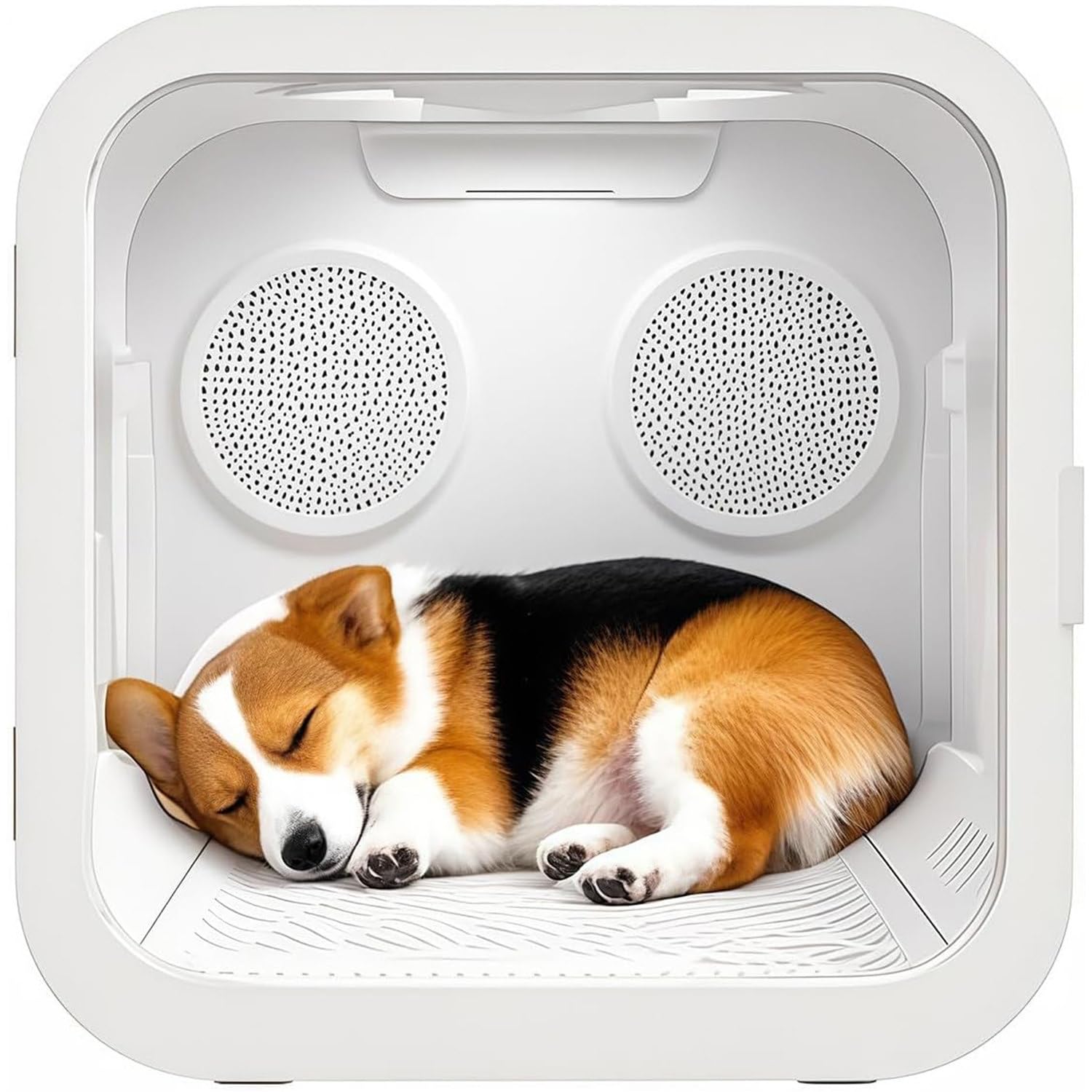 Caja secadora automática para mascotas para gatos y perros pequeños,eficiente,automático y silencioso 360° para gatos y perros,control inteligente temperatura con pantalla táctil,diseño seguro