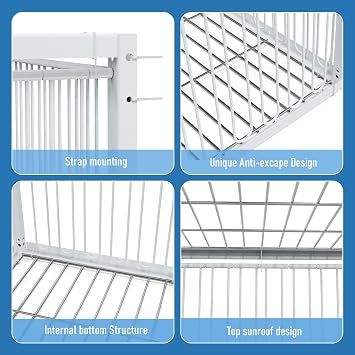 Trap Cage Chicken Trap with Escape-Proof Pigeon Bird Traps for Small Birds Folding One-Way Entrance Trapping for Chicks Duckling Quail Doves (35.5x23.6x10.3)