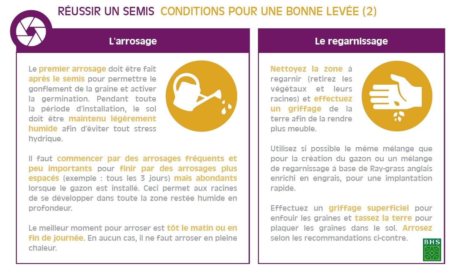 BHS Gazon Soleil - 3kg - 120 m² - Espaces Fortement Exposés au Soleil Ou Aux Zones De Climat Méditerranéen - Mélange Equilibré Alliant Esthétique Et Résistance A La Sécheresse GSO3