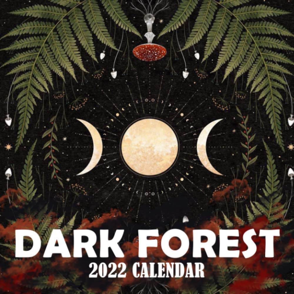 Buy 2022 Dark Forest Lunar Fantasy Fairy Misty Dark Forest Butterflies buy-2022-dark-forest-lunar-fantasy-fairy-misty-dark-forest-butterflies