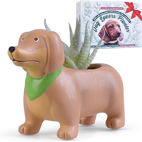 dachshund merchandise