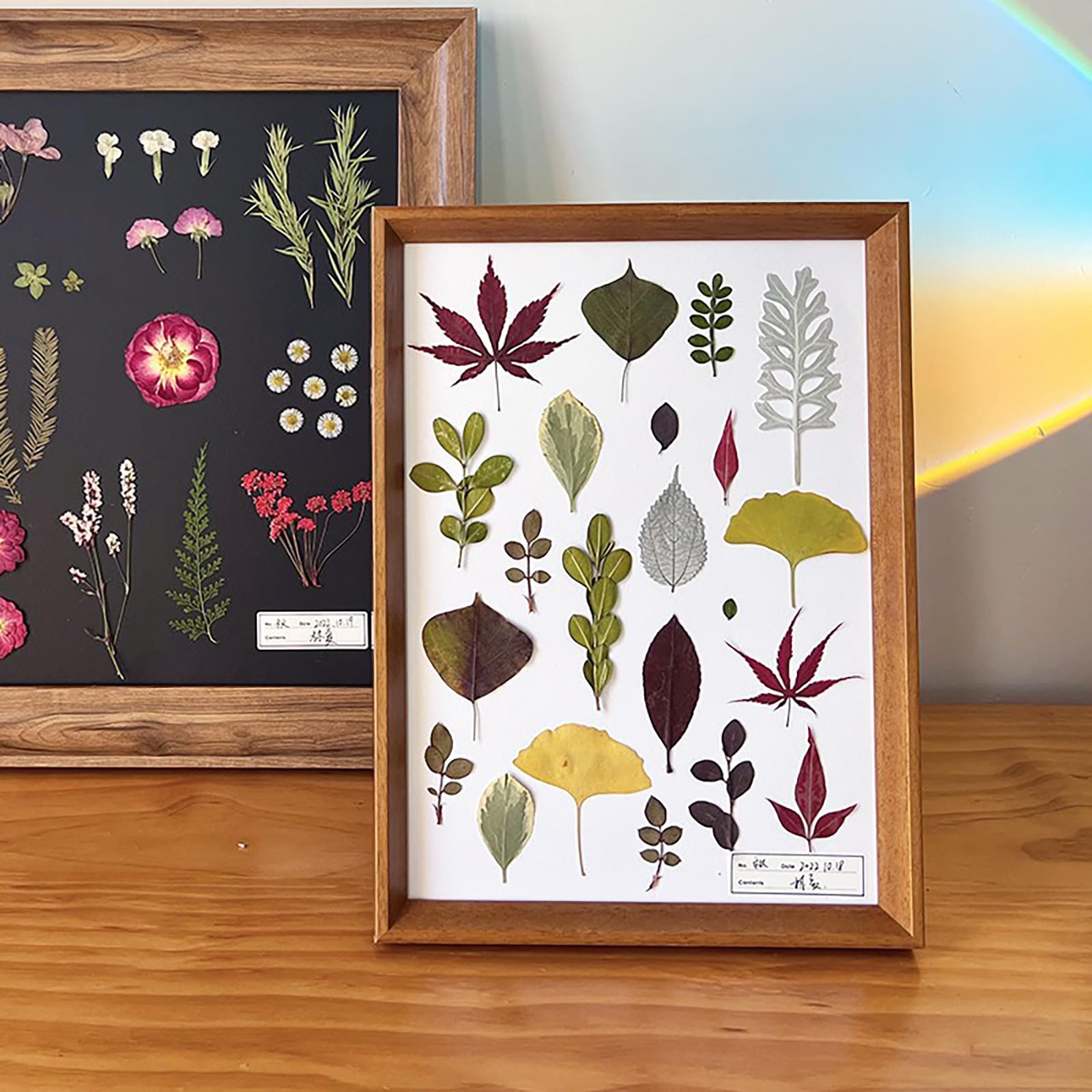 Commercio All'ingrosso Di Silicone Fiori Pressati In Resina Epossidica Per Prodotti Da Forno - Foto 11