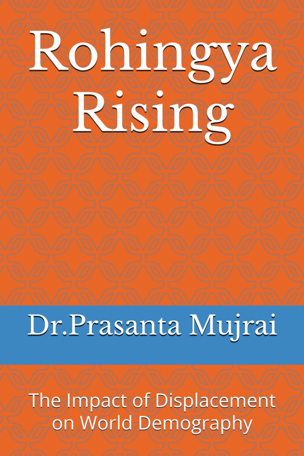 Rohingya Rising: The Impact of Displacement on World Demography