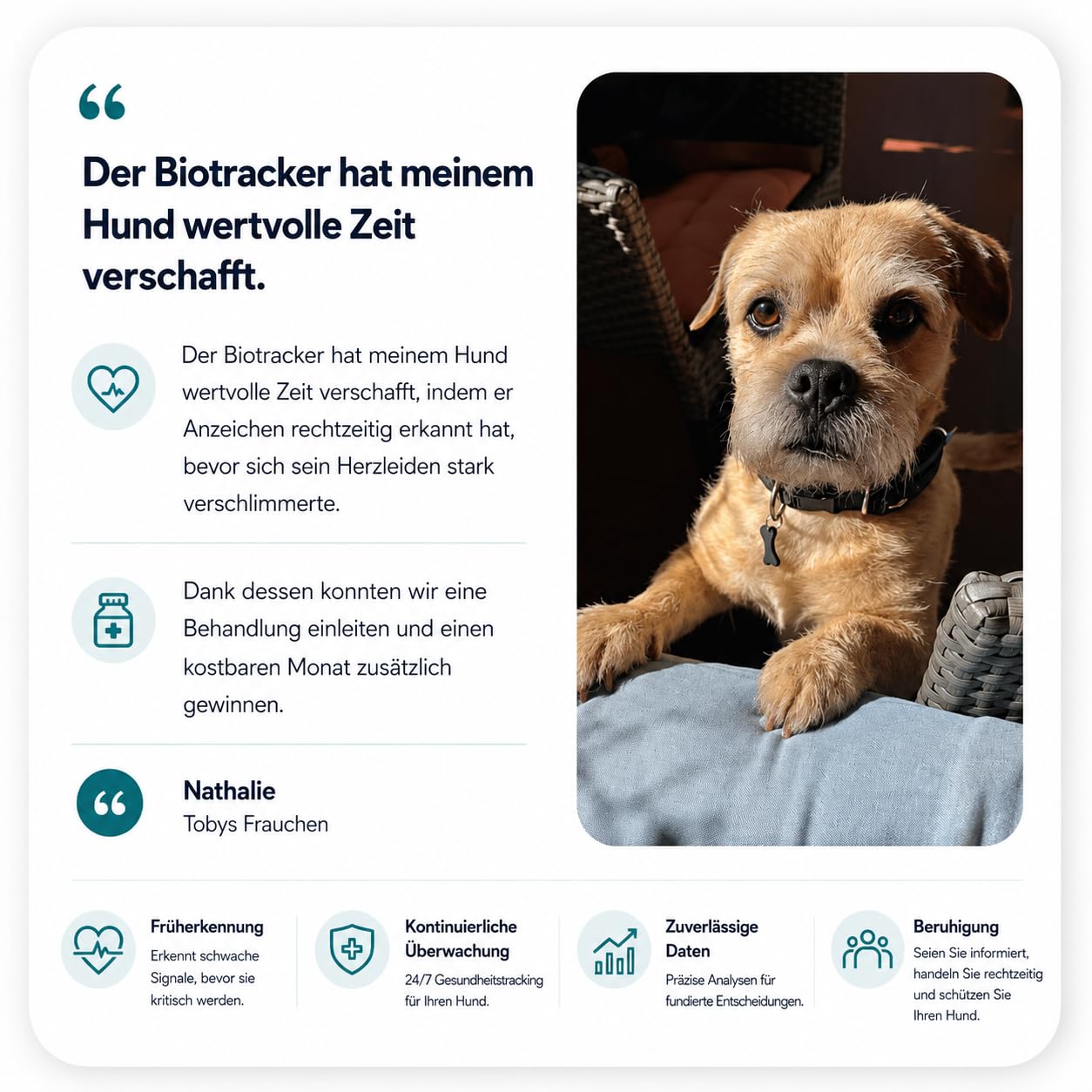 Invoxia Biotracker Edition 2026 | 4G in Echtzeit Herz- Atemüberwachung - Alarm bei Weglaufen - Integrierte KI
