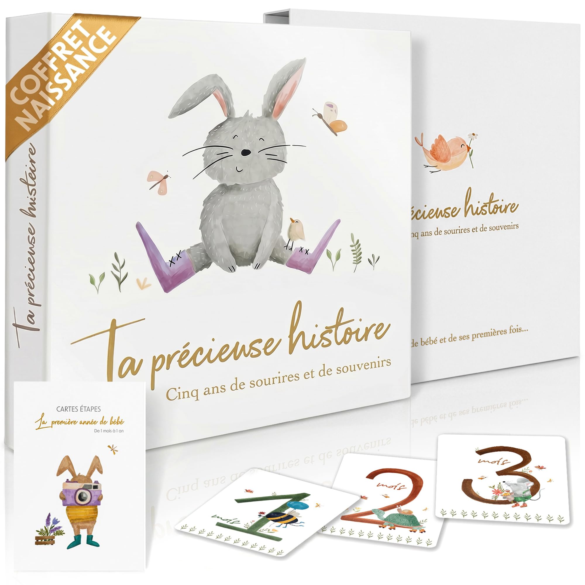 Livre de naissance bébé 0-5 ans avec 13 cartes étapes – Coffret naissance prêt à offrir, album souvenirs 120 pages, 6 pochettes souvenirs, cadeau naissance fille garçon