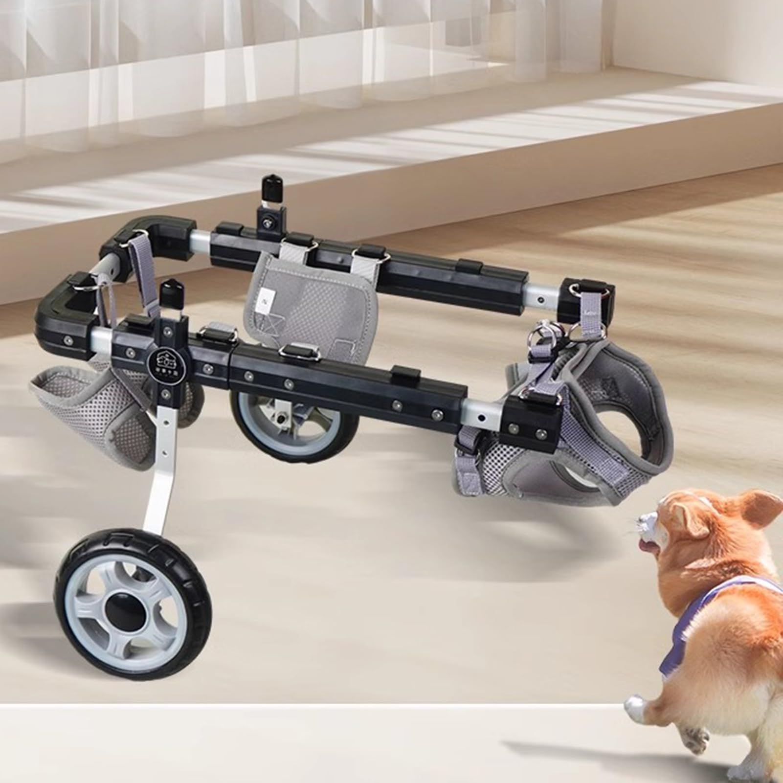 Fauteuil roulant pour chien pour de belles promenades en plein air