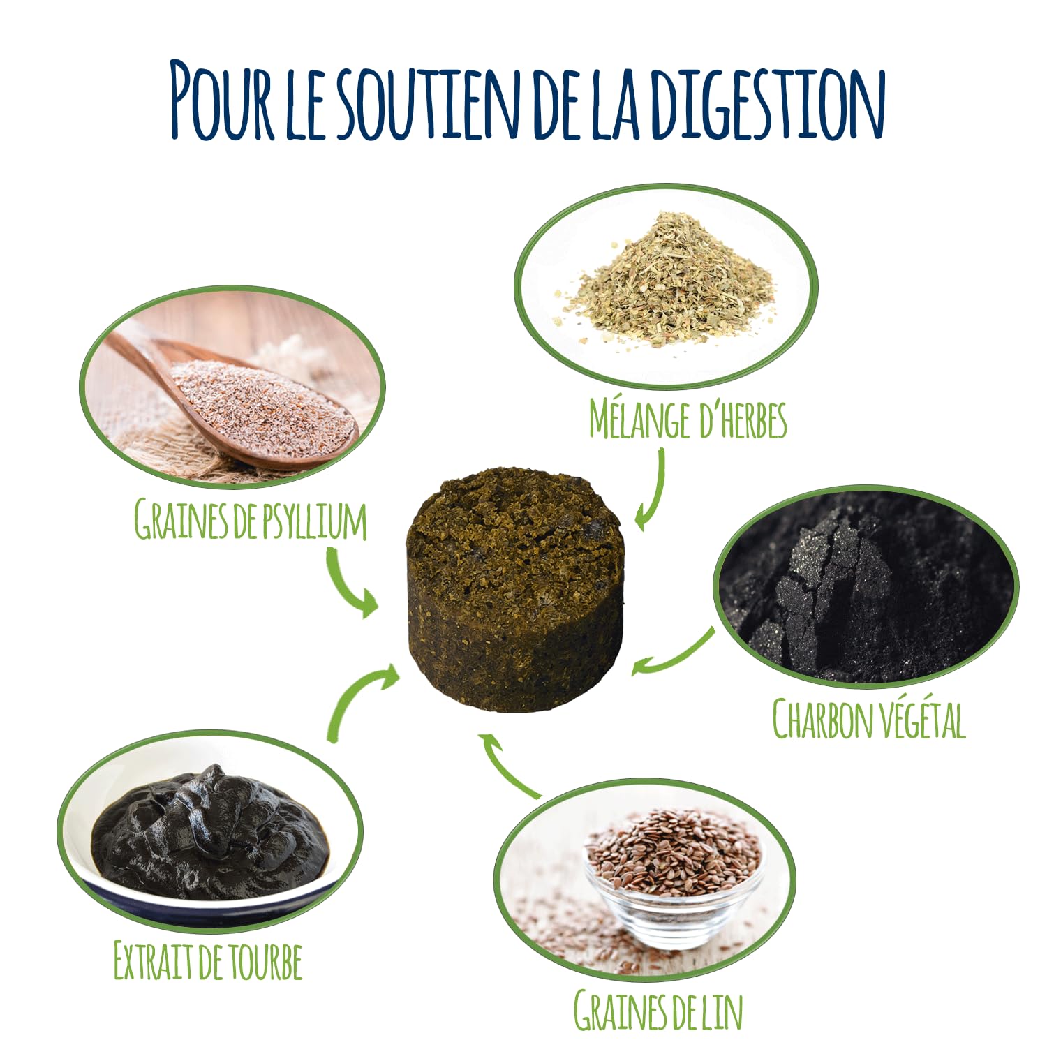 Magen Darm - Chien I Suppléments de Digestion pour Chiens - Comprimés pour Le Soutien Digestif et Gastrique - Fabriqué en Allemagne (300g)