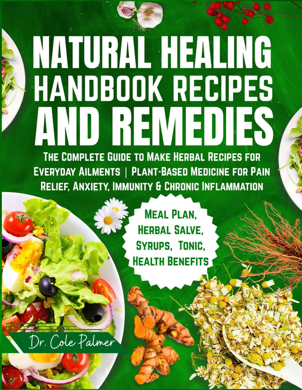 Natural Healing Handbook Recipes & Remedies: The Complete Guide to Make Herbal Teas, Salves, Tinctures | Plant-Based Medicine for Pain Relief, Anxiety, Immunity & Chronic Inflammation
