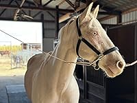 Review Image by McKenna Gilligan