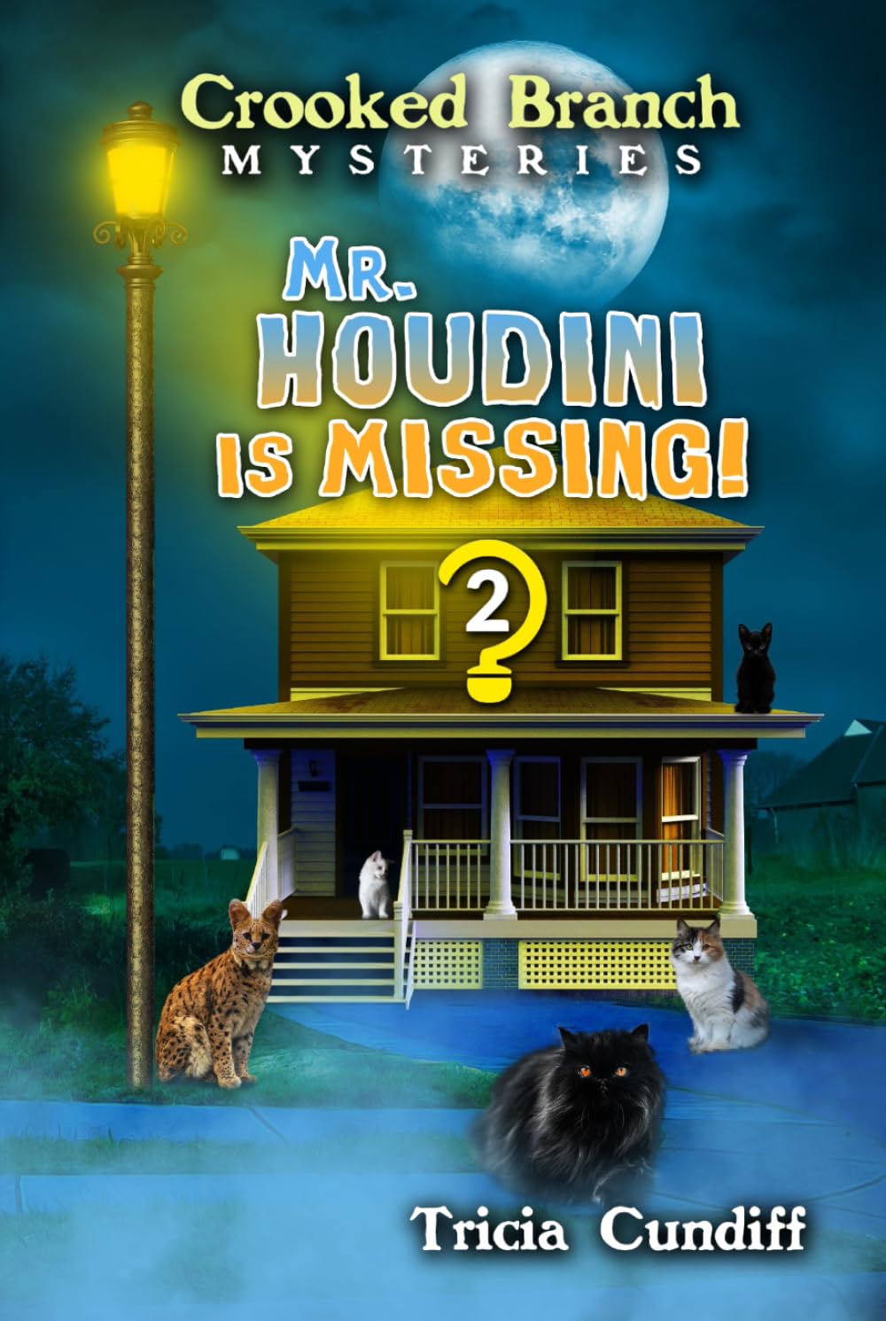 Mr. Houdini is Missing (Crooked Branch Mysteries)