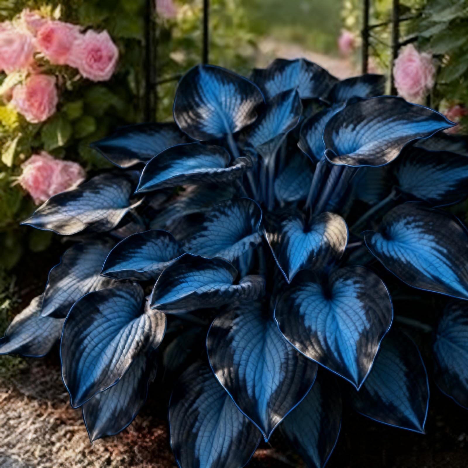 Premium Hosta Bulbs Simple to Grow โ Perfect for Gardens, Cut Flowers & Enchanting Displays Winter Hardy Hosta Bulbs-6 Bulbs-H
