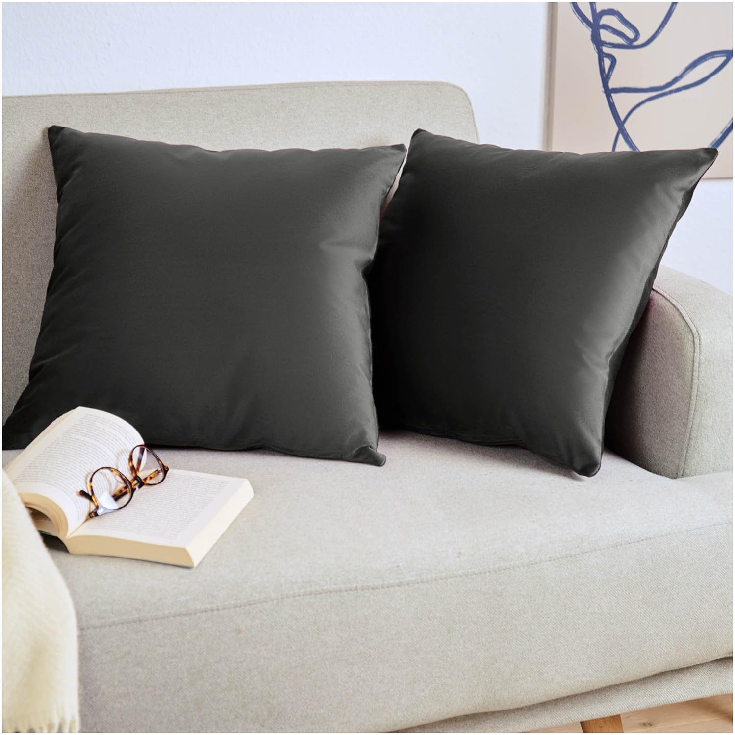 Blumtal 2er Set Kissenbezug 30x50 cm Anthrazit - dekorativer Samt Kissenbezug mit verstecktem Reißverschluss, Kissenhülle für Zierkissen Deko-Kissen Polster Sofakissen & Couchkissen, waschbar