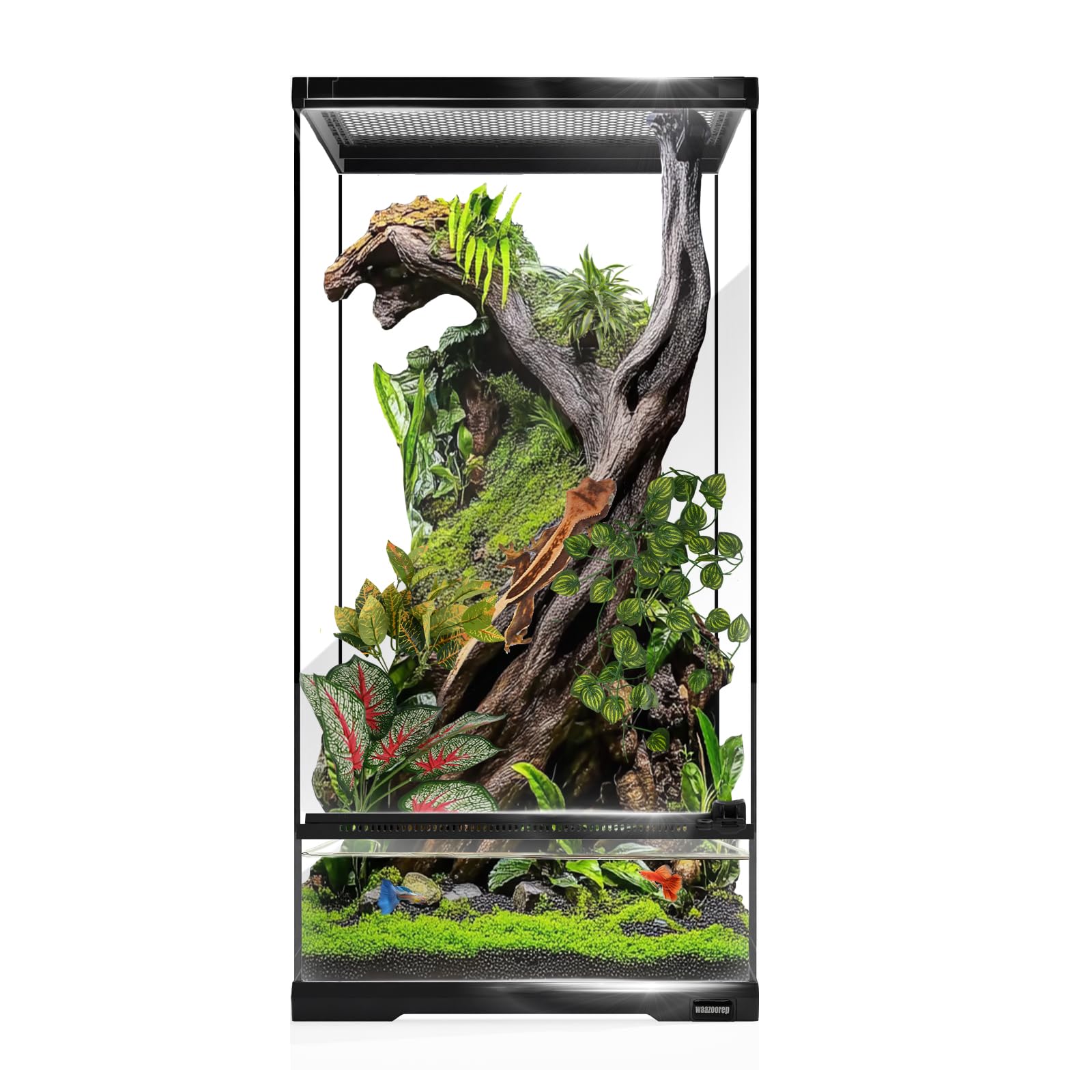 Tanque de vidrio para reptiles de 15 galones de alto de 12 x 12 x 24 pulgadas con sistema de drenaje, jaula vertical premontada para gecos arbóreos, camaleón, lagarto, rana de árbol y