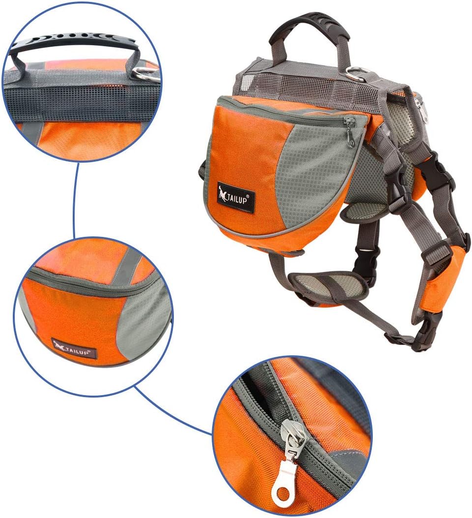 tailup dog backpack