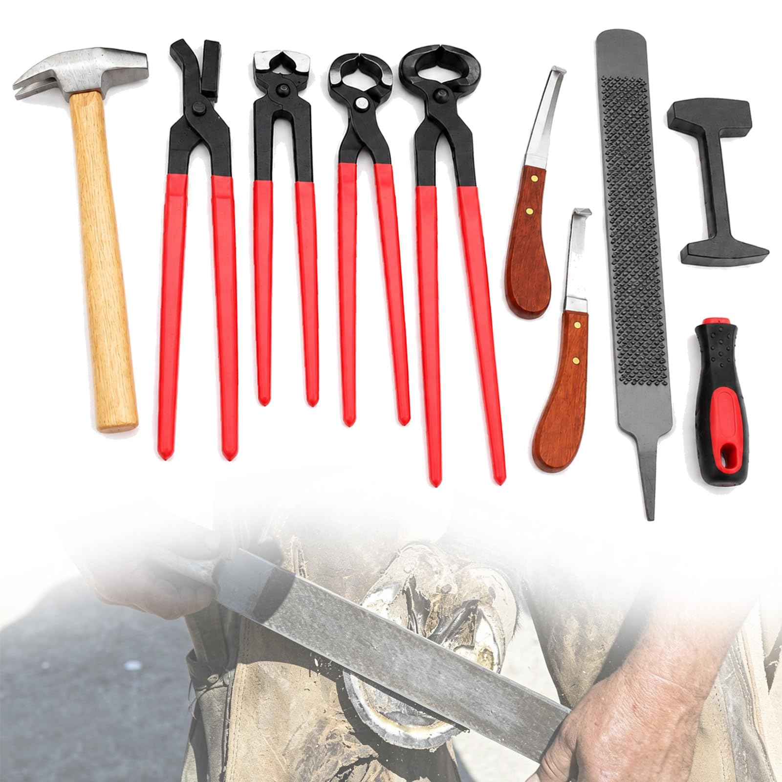 Kit Profesional Pesado de Herramientas de herrador para Caballos | Corta-cascos, tenaza de remache, raspa, martillo, forja, lima de uñas, kit de aseo con funda