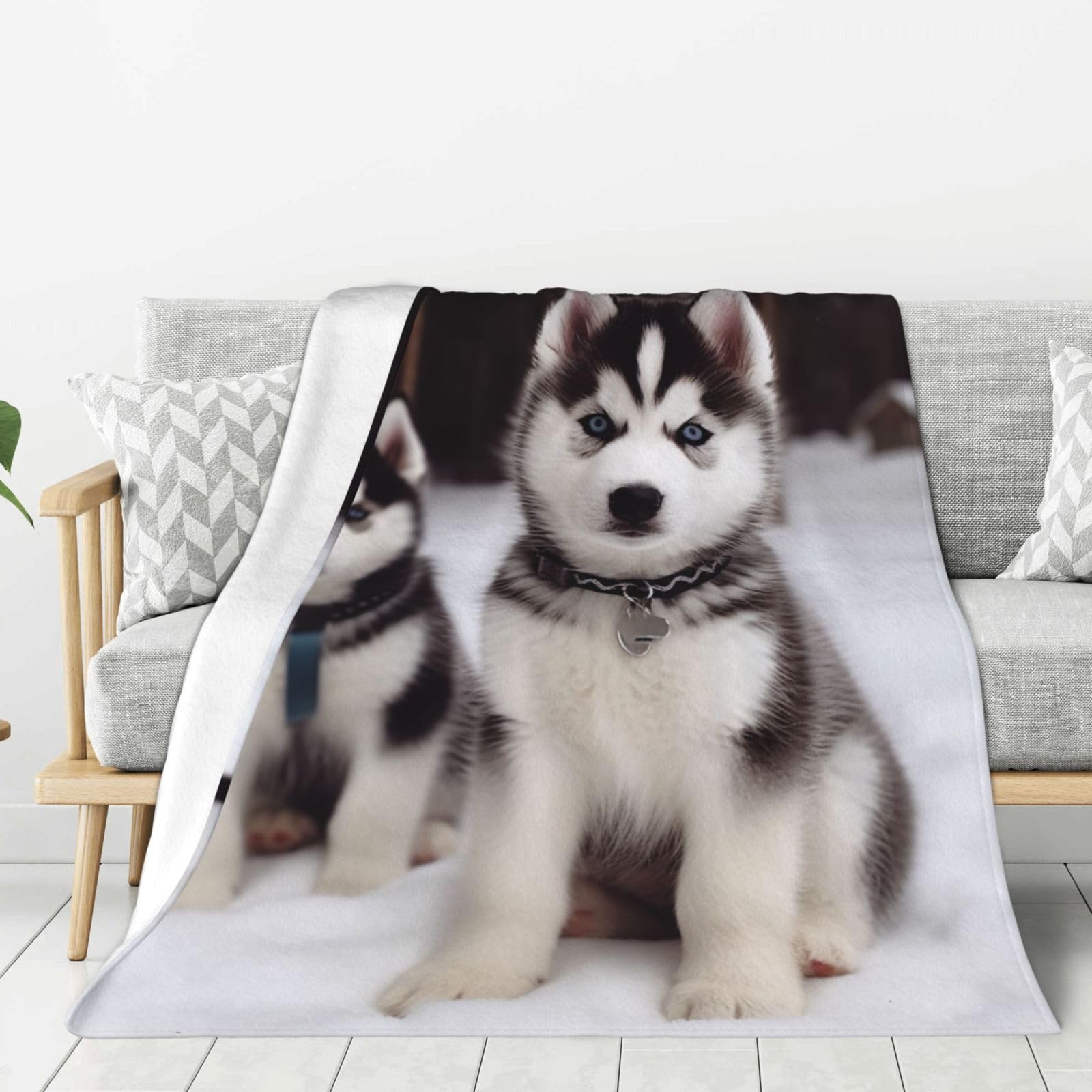 Adorable Huskies Throw Blanket Plush Flannel Fleece Blanket, Soft Lightweight Cozy Blankets 80"X60" for Bed Couch Sofa Travel