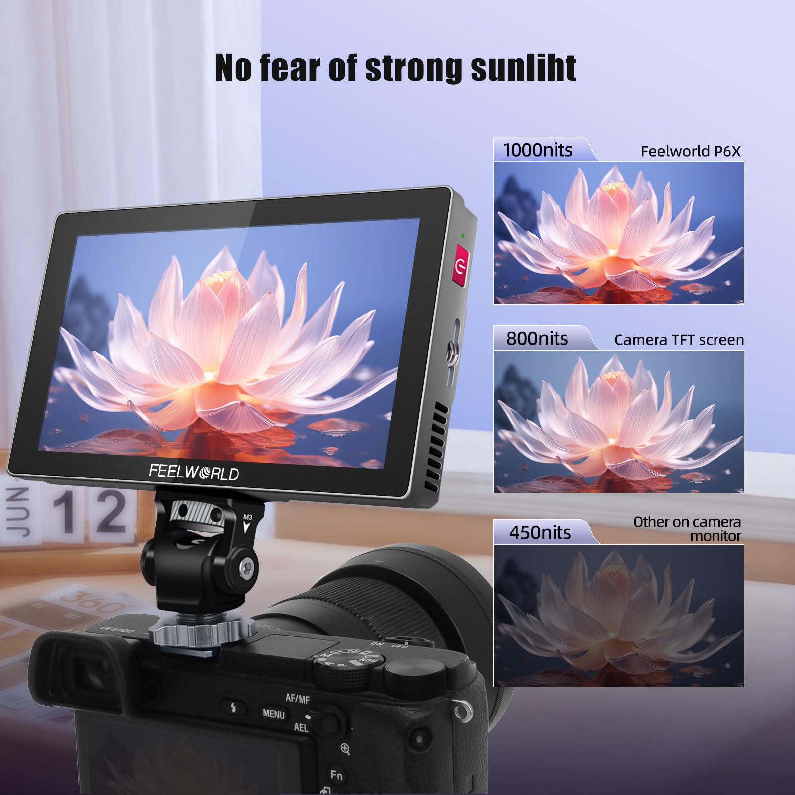 Amazon.com : FEELWORLD P6X 5.5