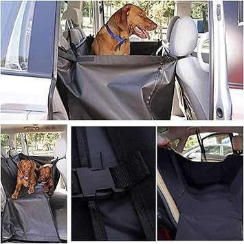 pitbull dog sweaters