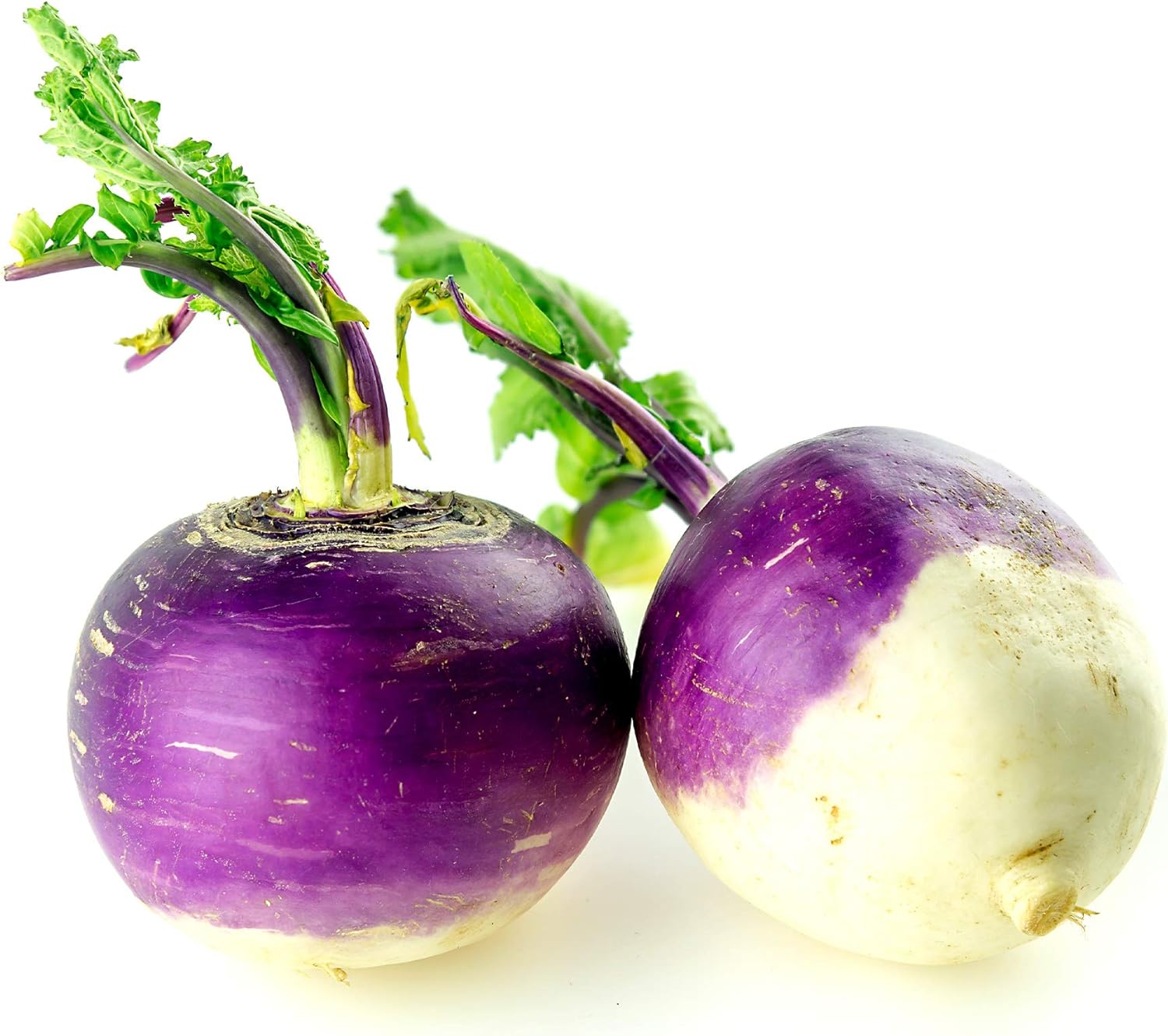 Rutabaga Seeds - Laurentian - 0.25 Oz ~2300 Seeds - Brassica Napus - Farm & Garden Vegetable & Microgreens Seed - Non-GMO, Heirloom, Open Pollinated, Annual