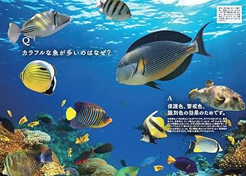 物理　実験•観察室　BEST100 PLUS 全3巻（DVD+CD）とてもキレイ 世界でいちばん素敵な理科の教室（世界でいちばん素敵な教室