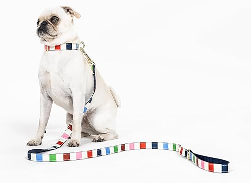 Miniatura 4 de kate spade new york Lindo collar de perro con detalles de metal dorado y hebilla de plástico, collar ajustable de 10.5 a 13.5 pulgadas para perros