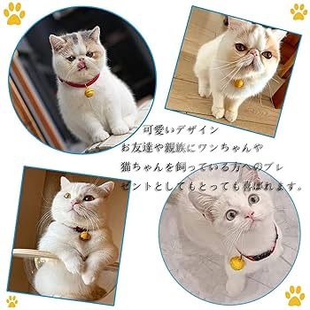 ミントチェック、わんちゃん猫ちゃん用首輪 dc0daa8a0734812cbe00e80432b947