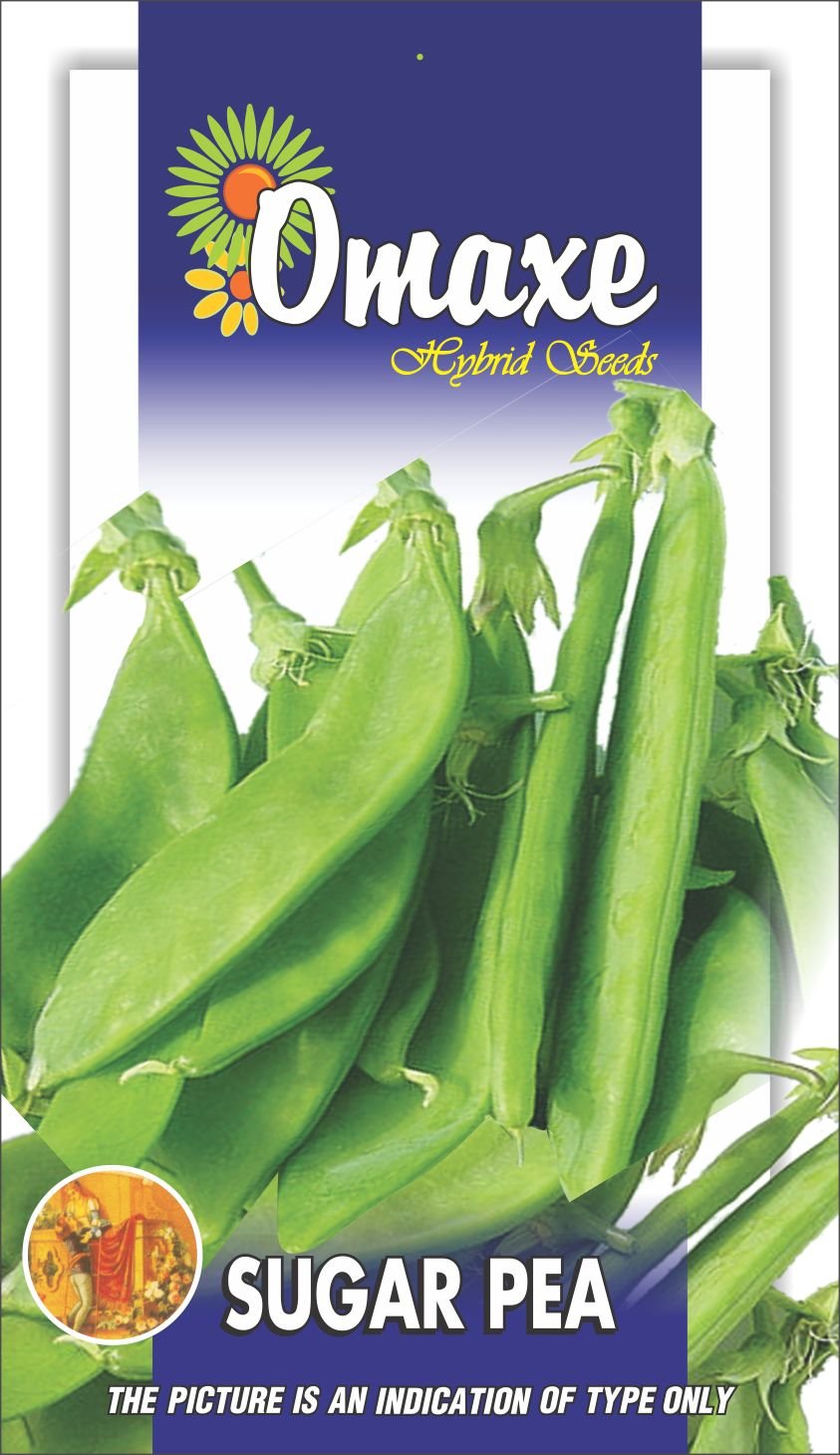 Omaxe Sugar Snap Pea Oregan Pod - 3packets (30 Seeds Each) Exotic Seeds-image-13