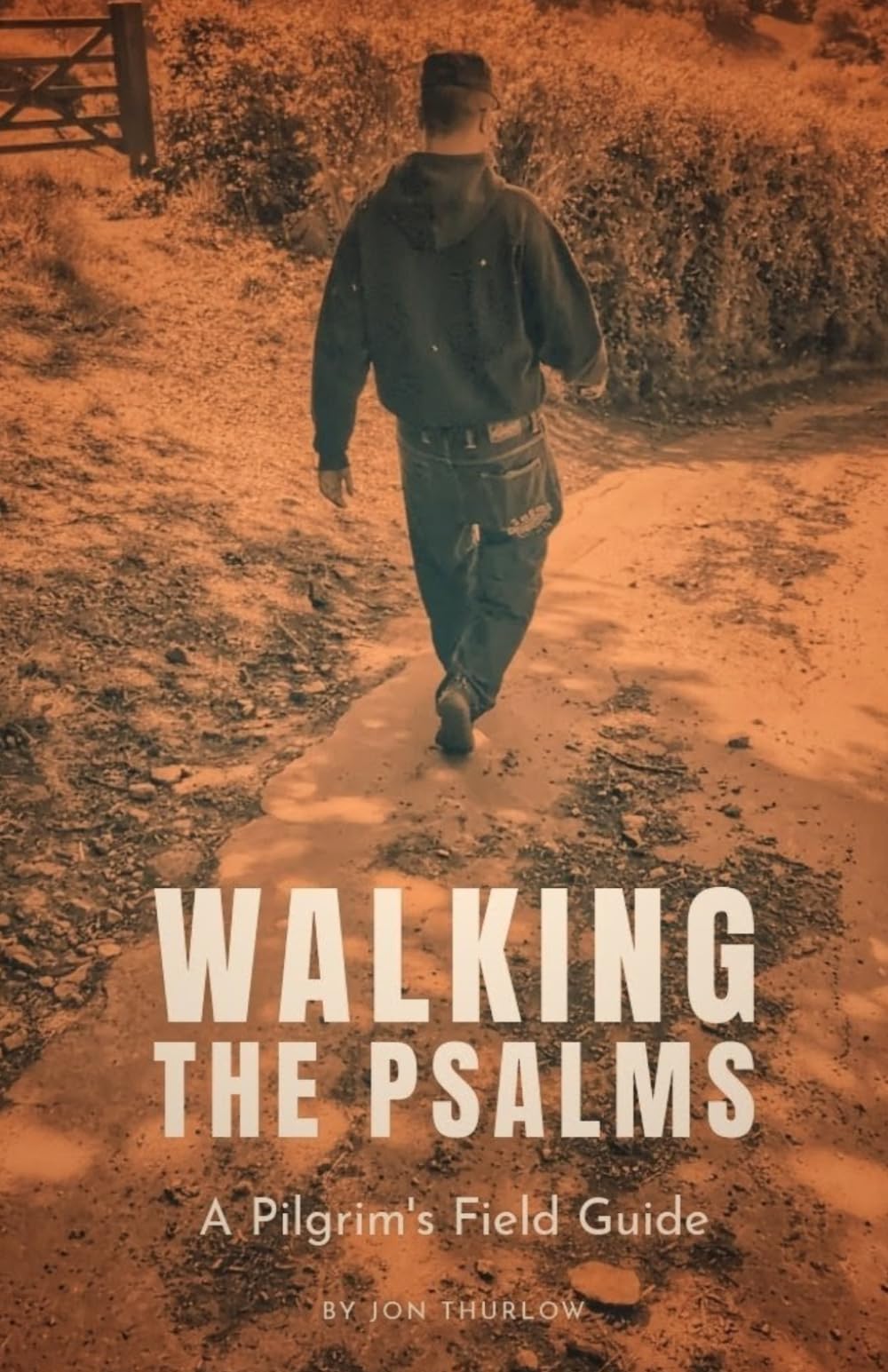Walking the Psalms: A Pilgrim’s Field Guide